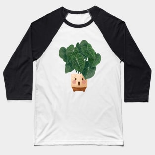 Cute Plant Illustration,  Anthurium Magnificum 3 Baseball T-Shirt